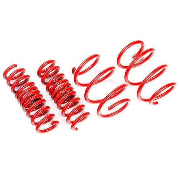 AST Audi RS6 Avant C7 Lowering Springs