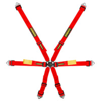 Schroth Enduro 6 Point Harness